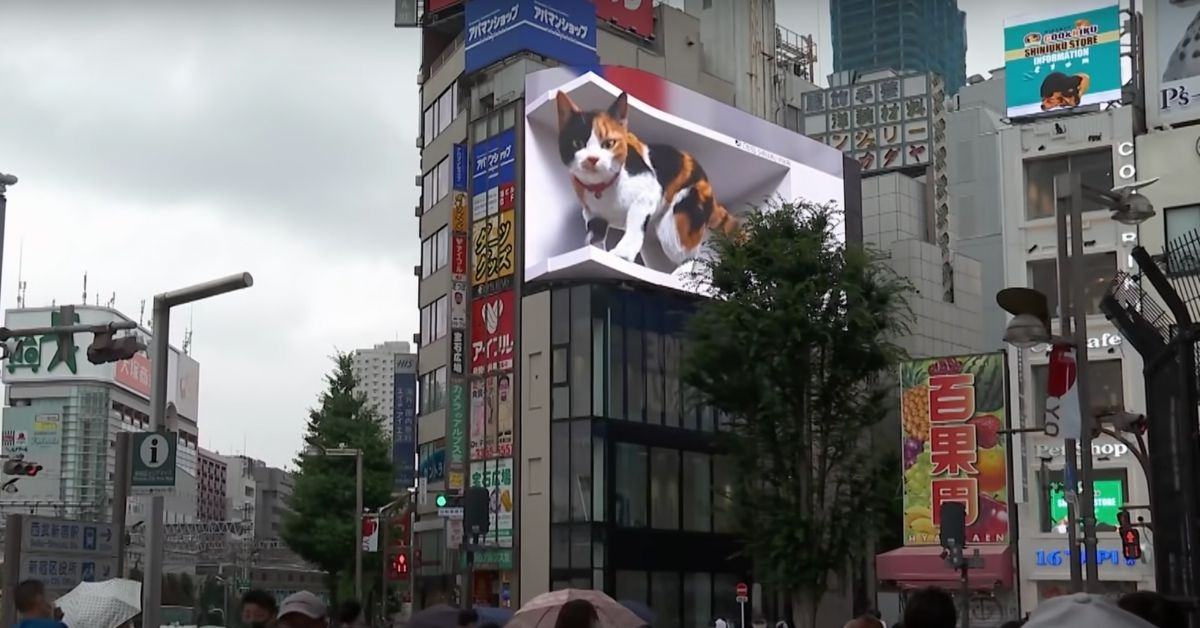 street-marketing-3D-tokyo