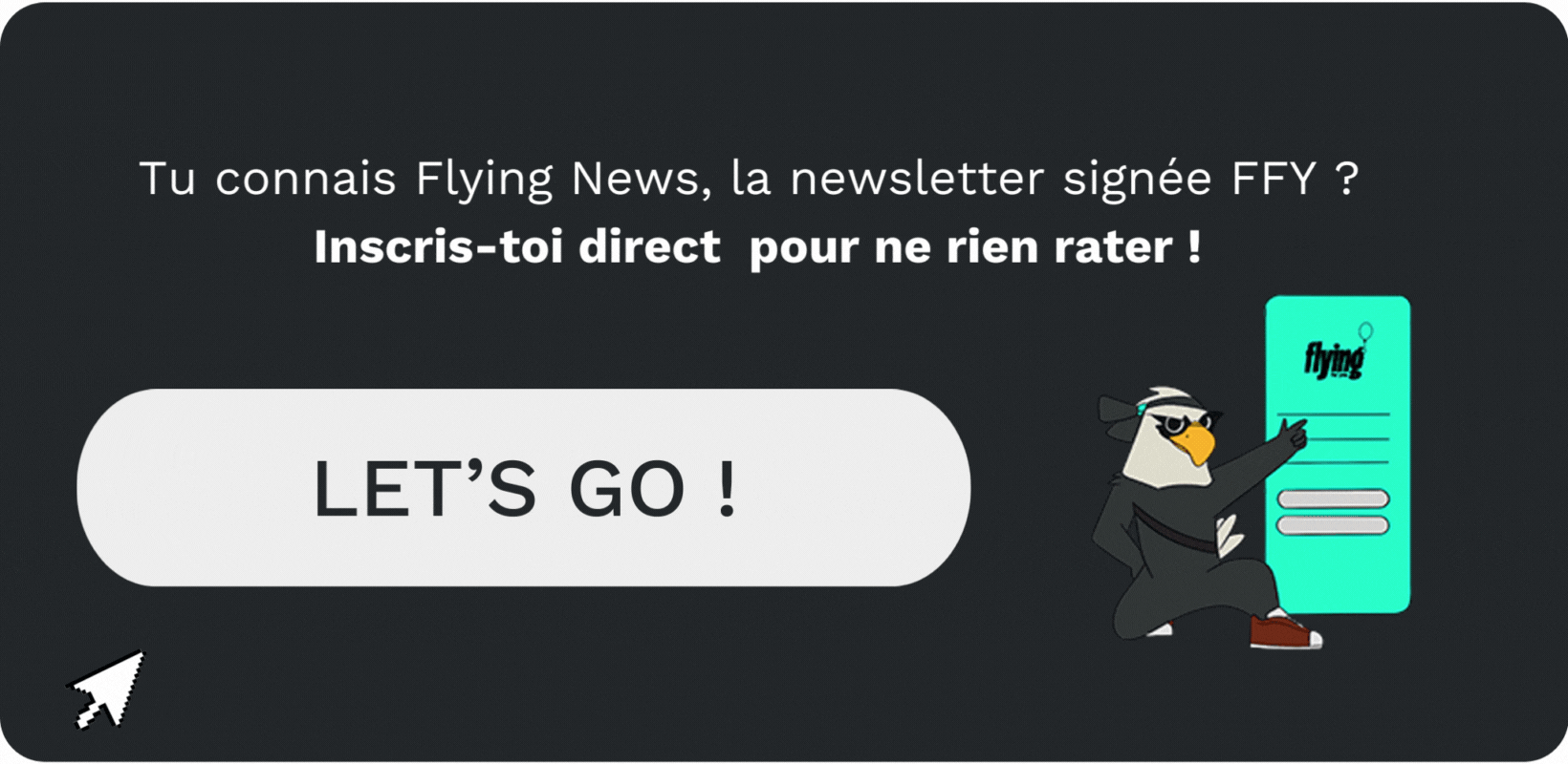 flying-news-newsletter-ffy-inscription